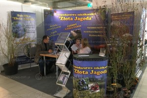 Poprzednia edycja - TSW 2019