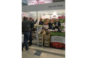 Poprzednia edycja - TSW 2019