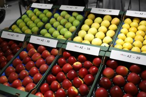 Stoisko Grupy Hodowlanej AJAPPLE
