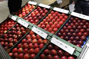 Stoisko Grupy Hodowlanej AJAPPLE