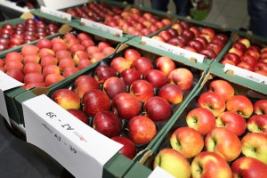 Stoisko Grupy Hodowlanej AJAPPLE