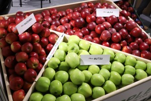 Stoisko Grupy Hodowlanej AJAPPLE