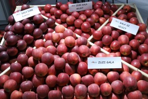 Stoisko Grupy Hodowlanej AJAPPLE