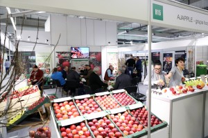 Stoisko Grupy Hodowlanej AJAPPLE