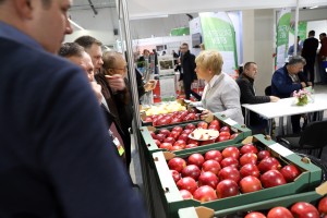 Gospodarstwo Szkółkarskie Jan Kozerski
