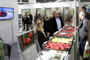 Gospodarstwo Szkółkarskie Jan Kozerski