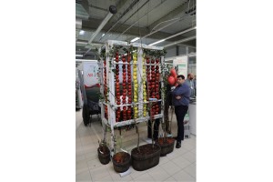 Gospodarstwo Szkółkarskie ARNO