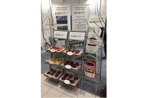 Gospodarstwo szkółkarskie Grzywa