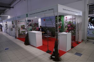 Szkółka Drzewek Owocowych Hildebrand / Olandia