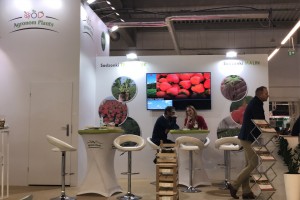 Agronom Plants