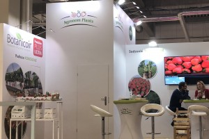 Agronom Plants