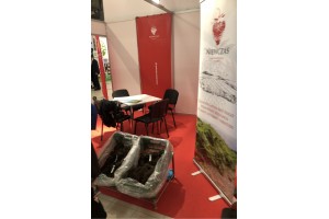 Niewczas Szkółka Sadzonek Truskawek