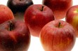 Dochodowe odmiany jabłoni