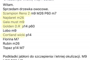  Oferty internetowej drzewek owocowych