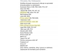  Oferty internetowej drzewek owocowych