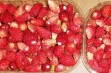 Poziomka (Frigaria L)
