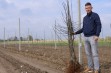 Na jakie drzewka owocowe zdecydował się sadownik ?