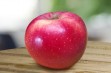 HOT84A1 – odmiana jabłoni odporna na zmiany klimatu 