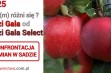 Porównanie Zuzi Gali - Czy(m) różnią się te jabłka ?