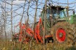 Drzewka - Jabłonie - 45 tydzień 2020 r.