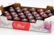Śliwkomorela Pluot
