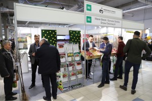 Poprzednia edycja - TSW 2020