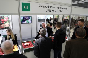 Poprzednia edycja - TSW 2020