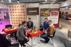 Szkółka Drzew Owocowych Marek Bielak