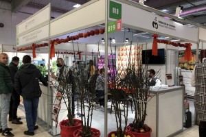 Szkółka Drzew Owocowych Marek Bielak