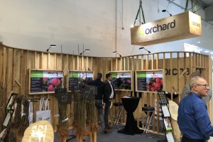 4ORCHARD Sp. z o.o.
