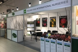 agliani Vivai International Nurseries