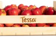 Tessa® - słodkie i chrypiące jabłko 