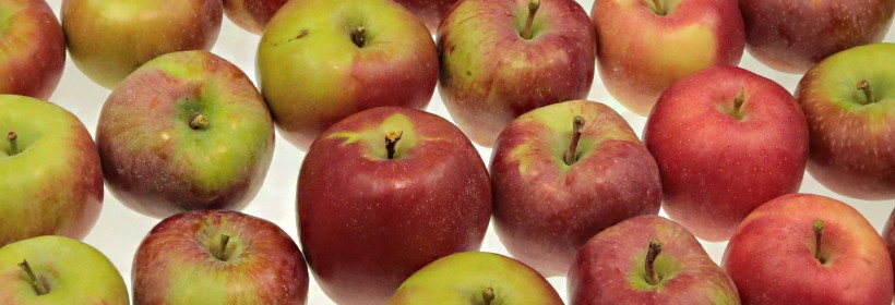 Na jakie odmiany jabłek warto postawić?