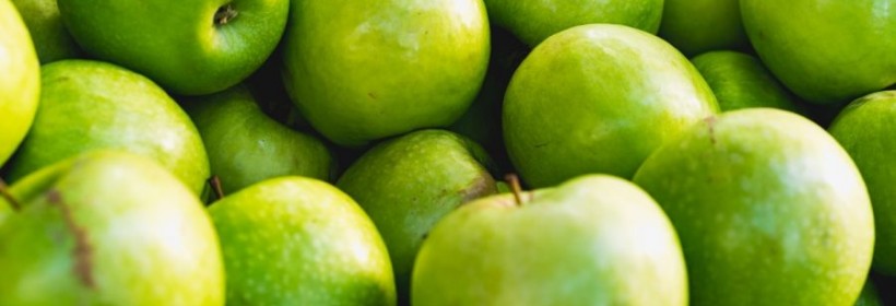 Królewska kosztela – zapomniana odmiana jabłoni 