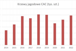 Wykres 2. Liczba sadzonek krzewów jagodowych wytworzonych w kategorii CAC w latach 2014-2023