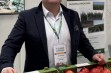 NOWE sporty odmiany GALA 