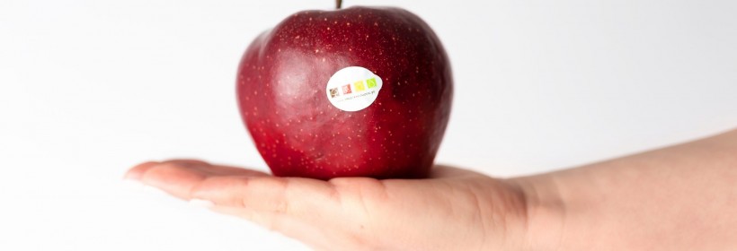 Pagacz - polska odmiana jabłoni 