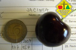 Odmiana czereśni - Jacinta