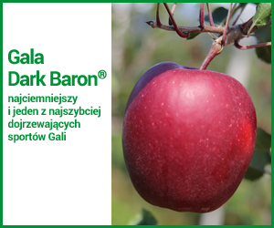 Gala_Dark Baron